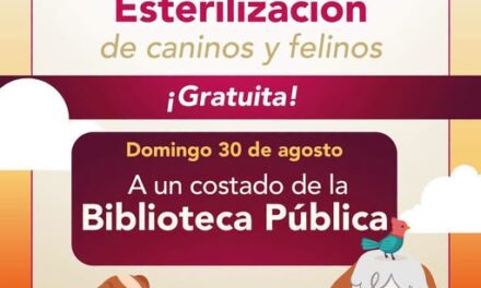 Realizarán jornada gratuita de esterilización para perros y gatos en Tepeji del Río