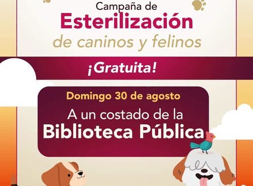 Realizarán jornada gratuita de esterilización para perros y gatos en Tepeji del Río
