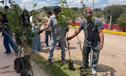 Entregan 750 árboles frutales y plantas aromáticas a bajo costo en Atotonilco de Tula