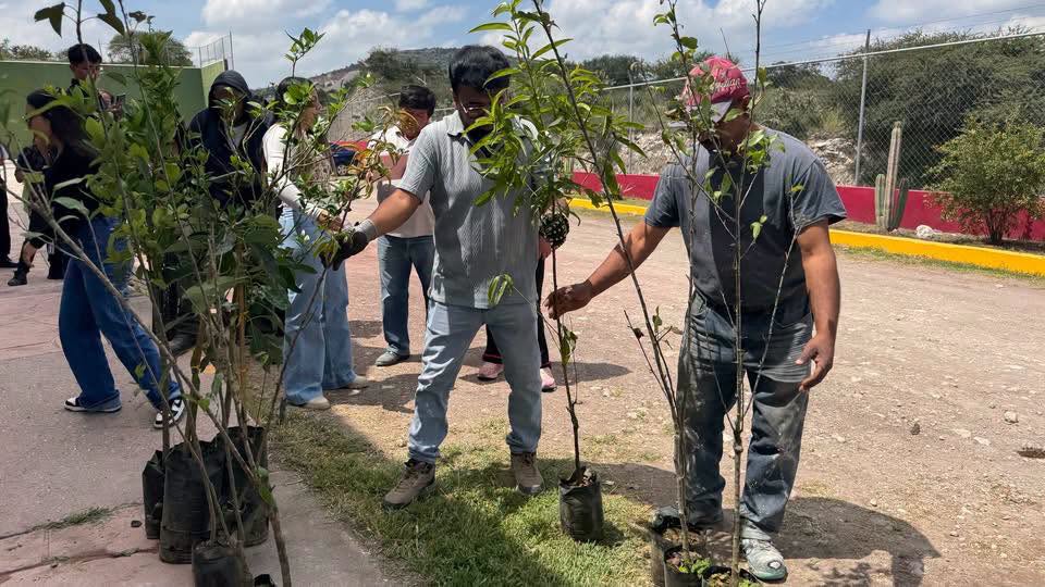 Entregan 750 árboles frutales y plantas aromáticas a bajo costo en Atotonilco de Tula