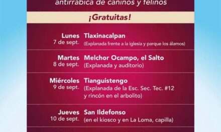 Tepeji del Río anuncia campaña gratuita de vacunación antirrábica para perros y gatos