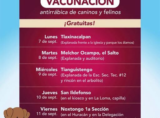 Tepeji del Río anuncia campaña gratuita de vacunación antirrábica para perros y gatos