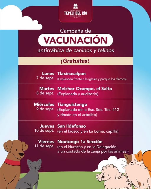 Tepeji del Río anuncia campaña gratuita de vacunación antirrábica para perros y gatos