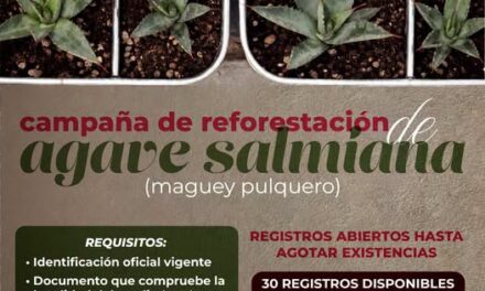 Atotonilco de Tula anuncia entrega de maguey pulquero para impulsar la reforestación