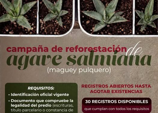 Atotonilco de Tula anuncia entrega de maguey pulquero para impulsar la reforestación