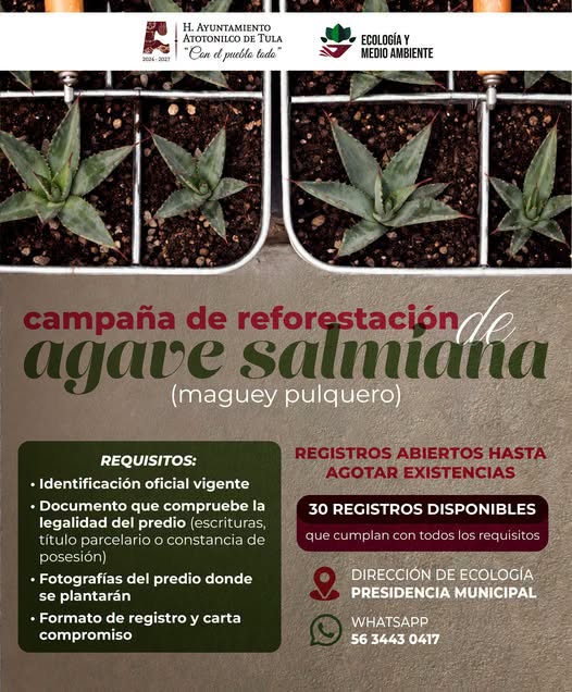 Atotonilco de Tula anuncia entrega de maguey pulquero para impulsar la reforestación