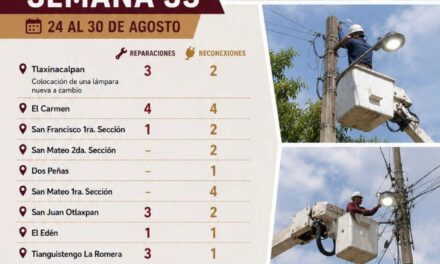 Atienden 142 fallas de alumbrado público y realizan 114 reconexiones en Tepeji del Río