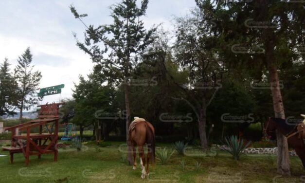 Plaga de mosco cúlex afecta actividades ecoturísticas: Prestador de Servicios