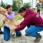 Inicia segunda etapa de jornada de vacunación antirrábica en Tepeji del Río