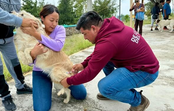 Inicia segunda etapa de jornada de vacunación antirrábica en Tepeji del Río