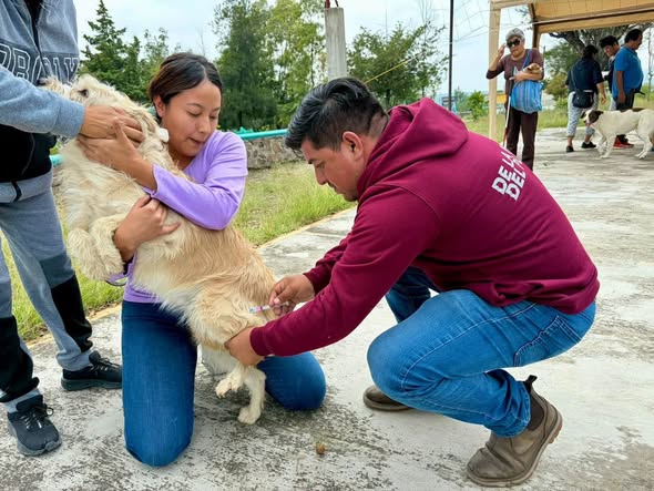 Inicia segunda etapa de jornada de vacunación antirrábica en Tepeji del Río