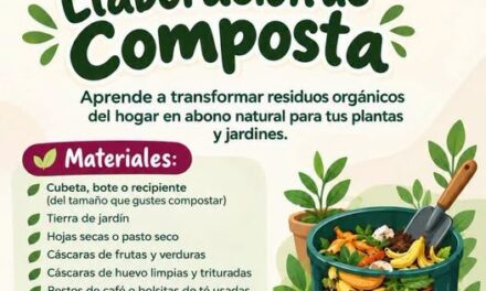 DIF Tepeji del Río invita a participar en taller de elaboración de composta