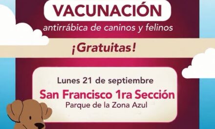Habrá campaña de vacunación antirrábica en la colonia San Franciso en Tepeji del Río
