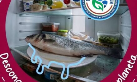 Recomiendan descongelar alimentos dentro del refrigerador para ahorrar agua