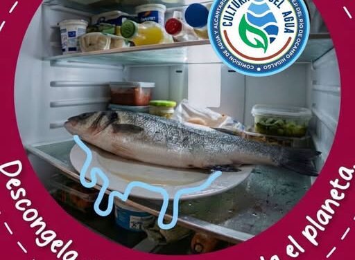 Recomiendan descongelar alimentos dentro del refrigerador para ahorrar agua