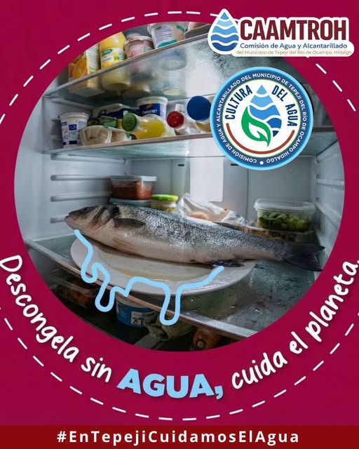 Recomiendan descongelar alimentos dentro del refrigerador para ahorrar agua