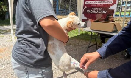 Más de 150 perros y gatos reciben vacuna antirrábica en San Francisco Primera Sección