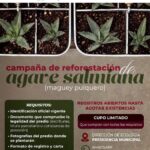 Mantienen abierta convocatoria para campaña de reforestación de «maguey pulquero» en Atotonilco de Tula