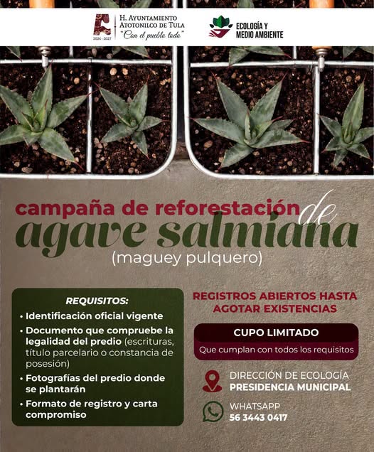Mantienen abierta convocatoria para campaña de reforestación de «maguey pulquero» en Atotonilco de Tula
