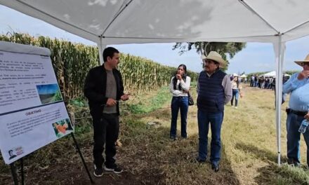 Tepeji del Río participa en jornada sobre tecnología para mejorar cultivos de maíz y frijol