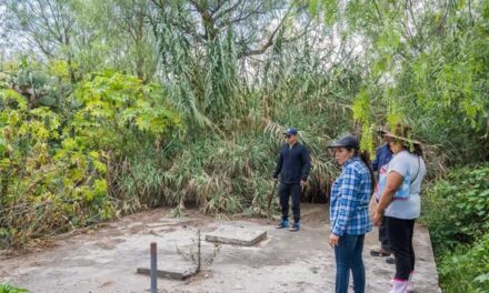 Avanzan trabajos para mejorar la red de drenaje sanitario en Los Hornos en Tepeji del Río