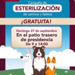 Realizarán campaña gratuita de esterilización para perros y gatos en el centro de Tepeji del Río