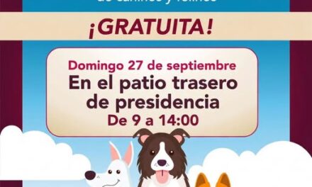 Realizarán campaña gratuita de esterilización para perros y gatos en el centro de Tepeji del Río