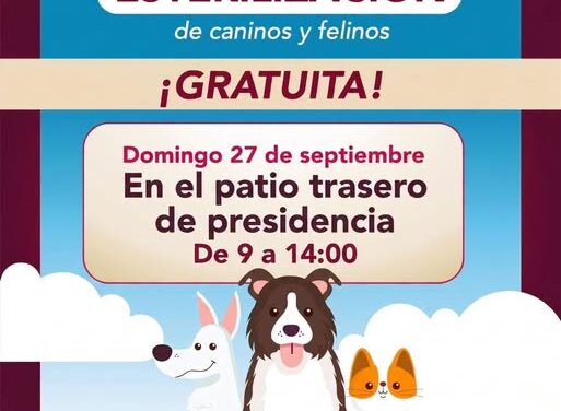 Realizarán campaña gratuita de esterilización para perros y gatos en el centro de Tepeji del Río