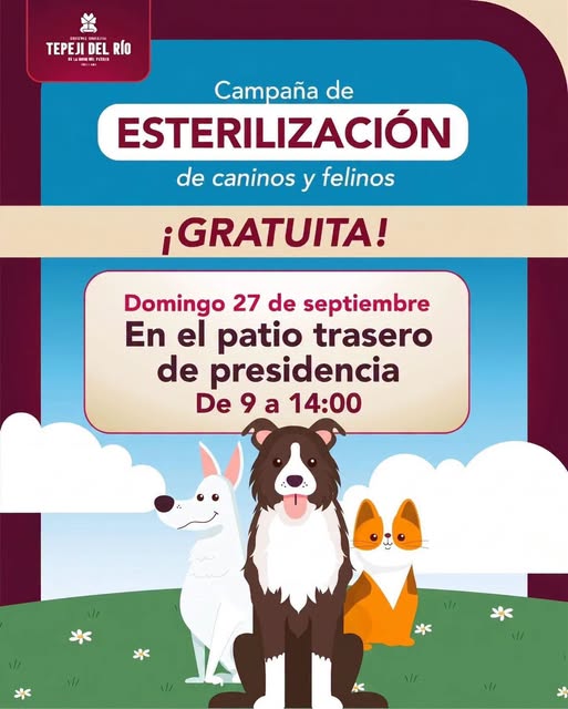 Realizarán campaña gratuita de esterilización para perros y gatos en el centro de Tepeji del Río