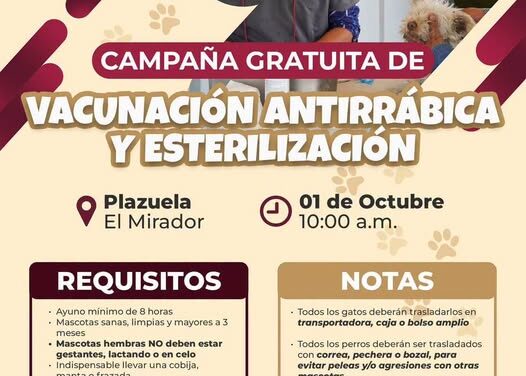 Realizarán campaña gratuita de vacunación y esterilización para perros y gatos en El Mirador
