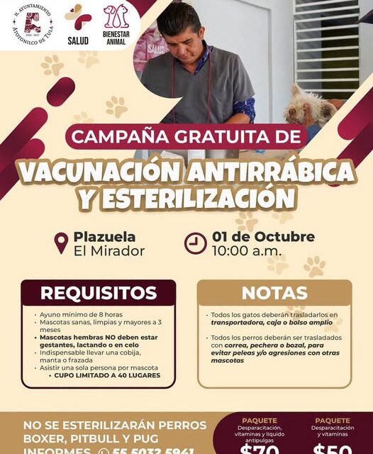Realizarán campaña gratuita de vacunación y esterilización para perros y gatos en El Mirador