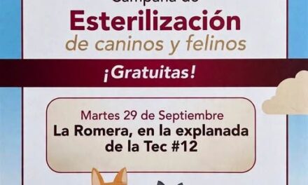 Campaña gratuita de esterilización canina y felina se realizará este martes en Tianguistengo