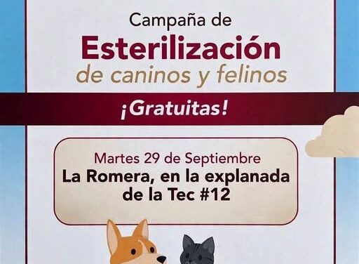 Campaña gratuita de esterilización canina y felina se realizará este martes en Tianguistengo