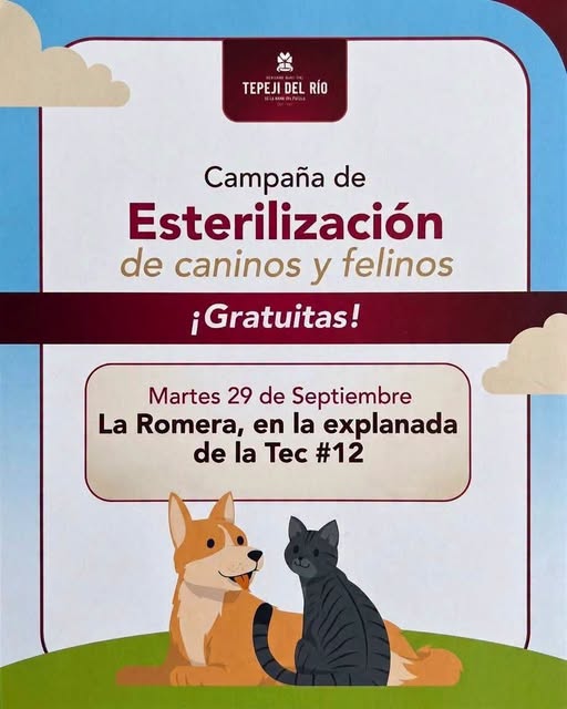 Campaña gratuita de esterilización canina y felina se realizará este martes en Tianguistengo