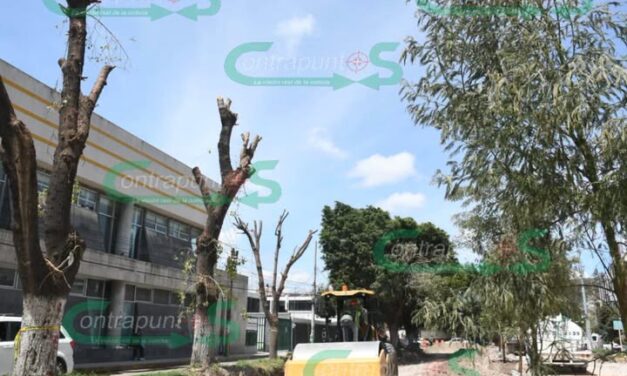 Piden reforestación adecuada en calzada Melchor Ocampo