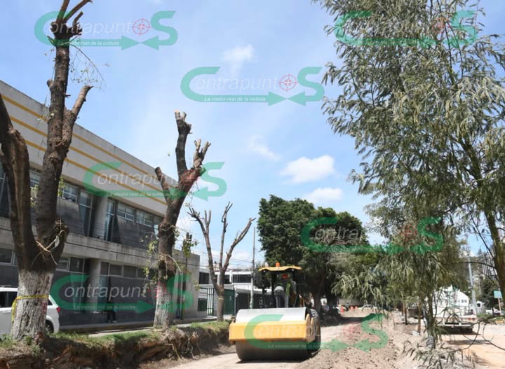 Piden reforestación adecuada en calzada Melchor Ocampo