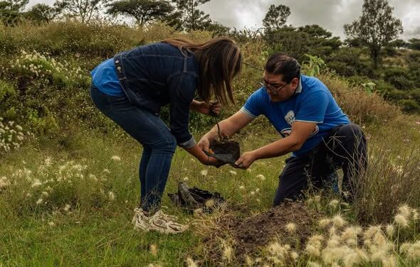 Realizan jornada de reforestación en Tepeji del Río