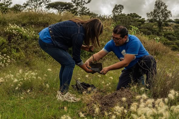 Realizan jornada de reforestación en Tepeji del Río