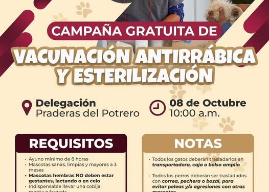 Realizarán campaña gratuita de vacunación y esterilización canina y felina en Praderas del Potrero