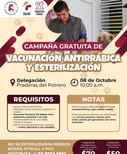 Realizarán campaña gratuita de vacunación y esterilización canina y felina en Praderas del Potrero