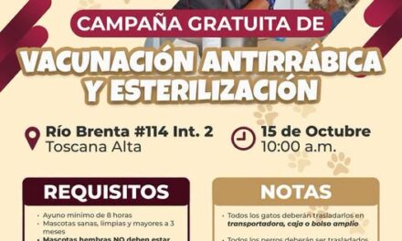 Atotonilco de Tula realizará campaña gratuita de vacunación y esterilización para perros y gatos en Toscana Alta