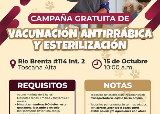 Atotonilco de Tula realizará campaña gratuita de vacunación y esterilización para perros y gatos en Toscana Alta