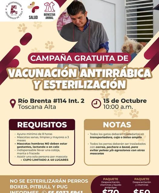 Atotonilco de Tula realizará campaña gratuita de vacunación y esterilización para perros y gatos en Toscana Alta