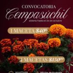 Atotonilco de Tula mantiene abierta la convocatoria para la venta de macetas de cempasúchil