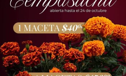 Atotonilco de Tula mantiene abierta la convocatoria para la venta de macetas de cempasúchil