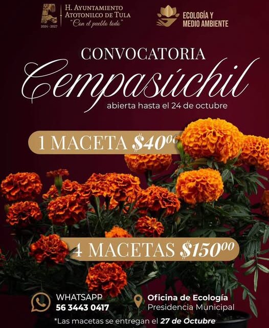 Atotonilco de Tula mantiene abierta la convocatoria para la venta de macetas de cempasúchil