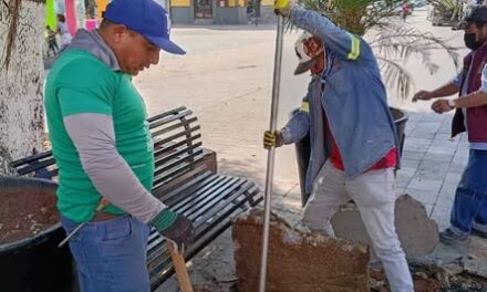 Realizan trabajos de desazolve en el Jardín Municipal de Tula de Allende