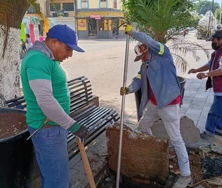 Realizan trabajos de desazolve en el Jardín Municipal de Tula de Allende