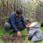 Realizan jornada de reforestación en El Colibrí, en Tepeji del Río