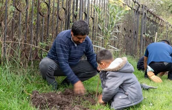 Realizan jornada de reforestación en El Colibrí, en Tepeji del Río